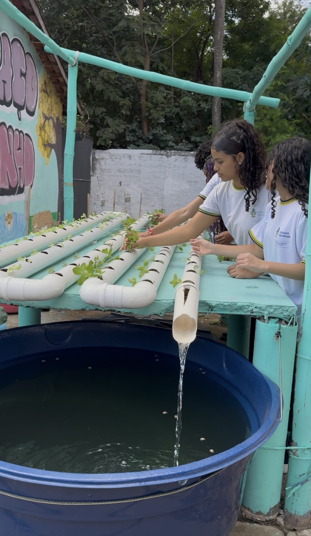 Sistema completo funcionando: água caindo do cano de retorno no reservatório enquanto estudantes cuidam das mudas nos tubos